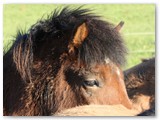 16_Njola 2 Jahre