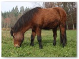 18_Njola 2.5 Jahre