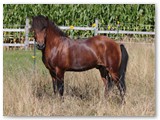 05_Tristan 3 Jahre