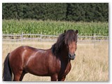 06_Tristan 3 Jahre