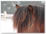 12_Tristan 4 Jahre
