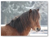 13_Tristan 4 Jahre