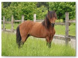 16_Tristan 4 Jahre
