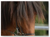 21_Tristan 4 Jahre