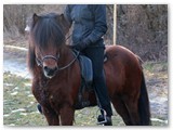 23_Tristan Jan. 2014