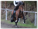 25_Tristan Apr. 2014