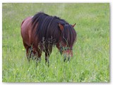 27_Tristan 5 Jahre