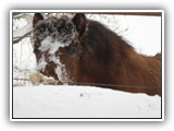 IMG_5644_1