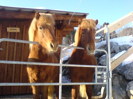 Katur und Hadda am Tor